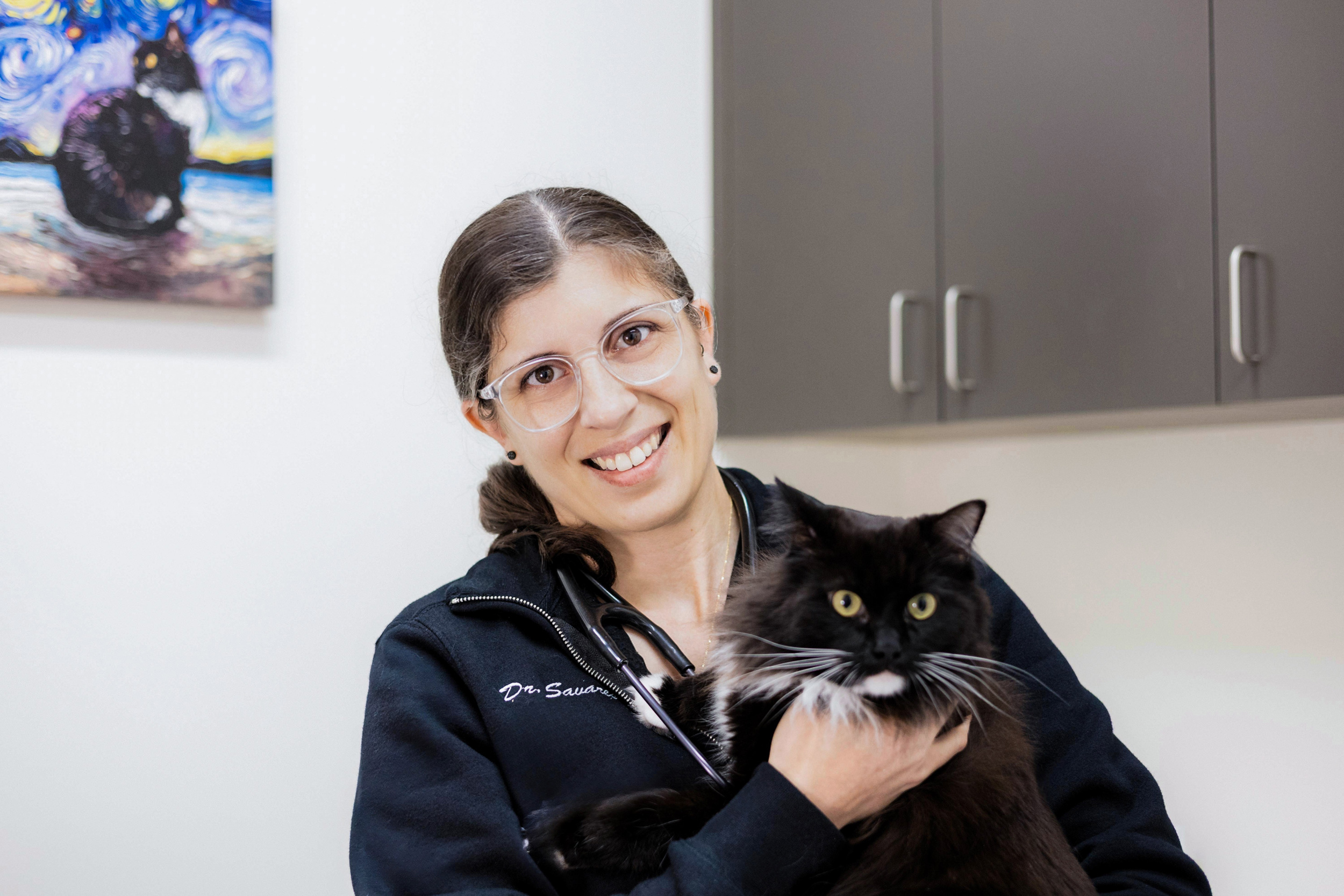 Wellness Care for Cats