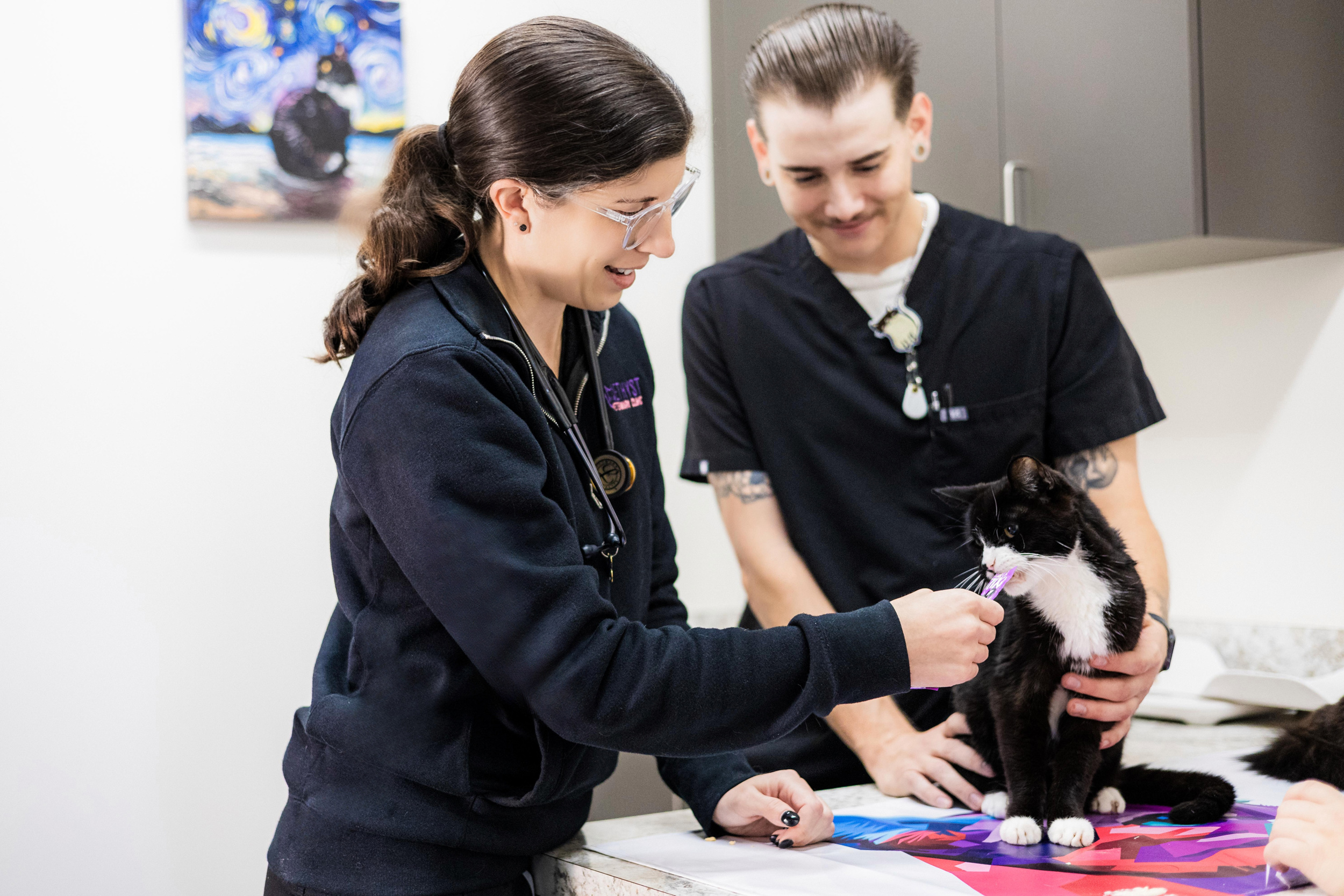 Flea Prevention & Control