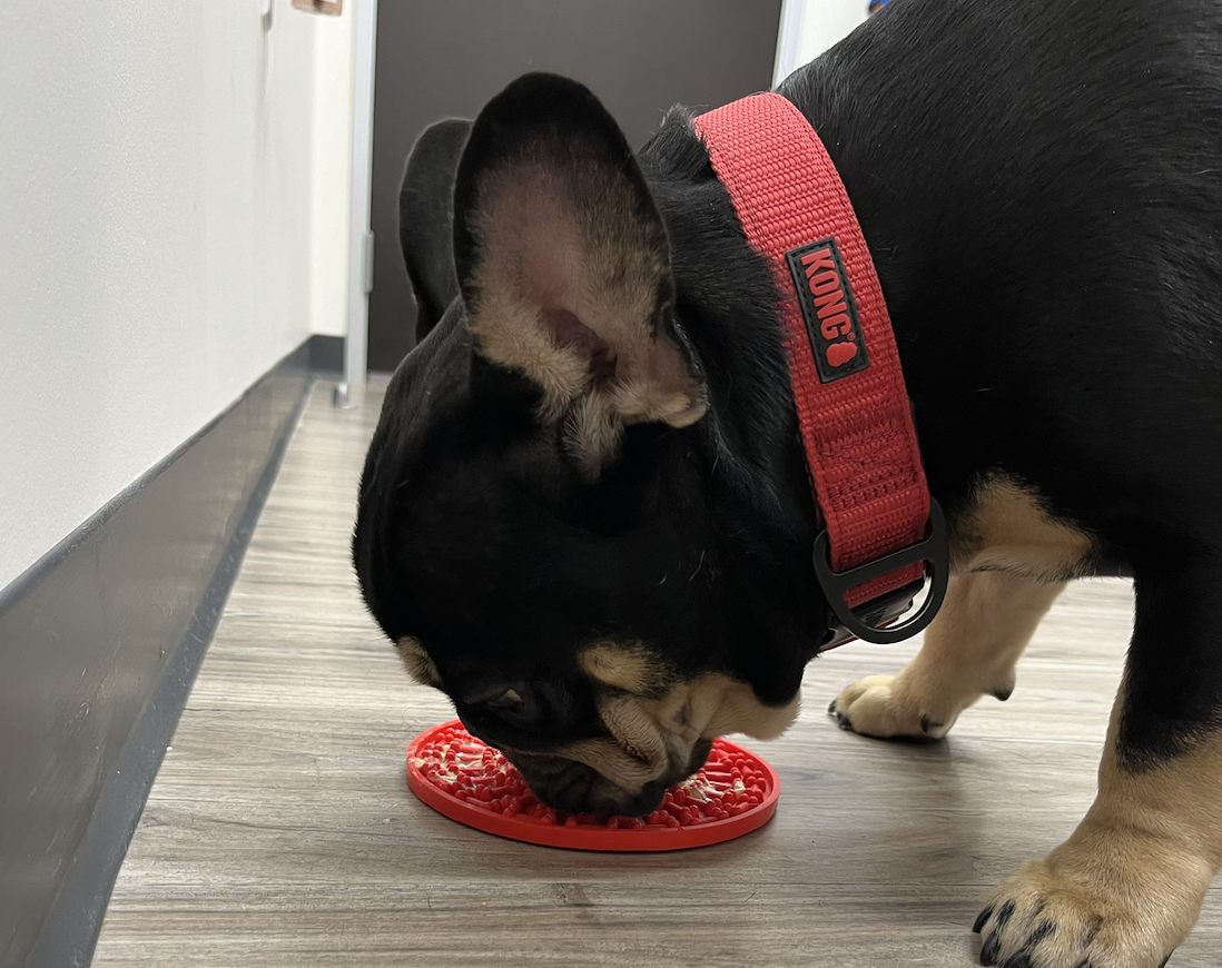 Fear Free Certified Clinic